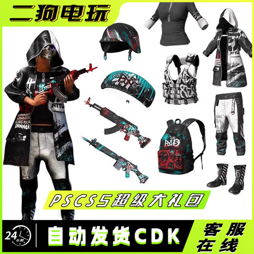 PUBG绝地求生皮肤PCS5超级大礼包M762大炮SLR降落伞1级甲吃鸡CDK