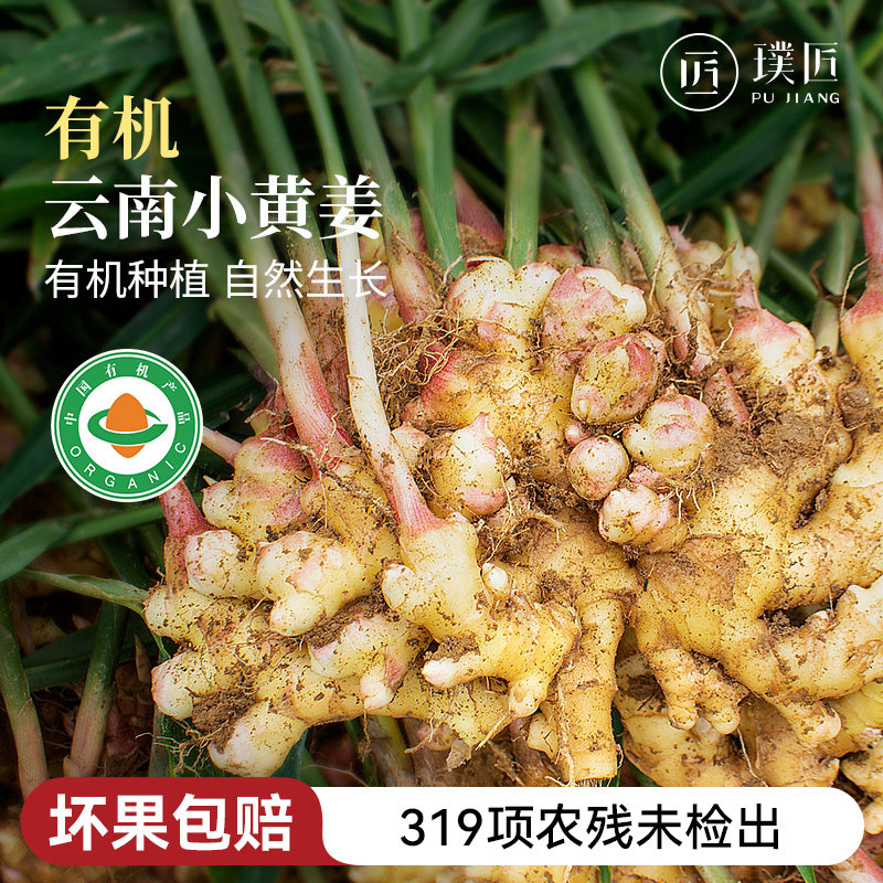 有机云南小黄姜319项农残检测为0