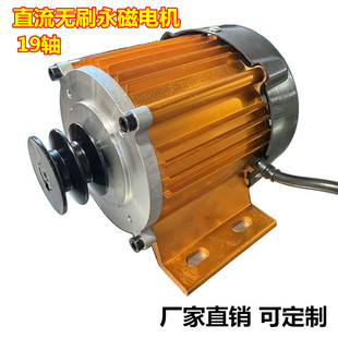 直流无刷电机皮带轮高速电机打药机水泵12v24v48v220厂家直销定制