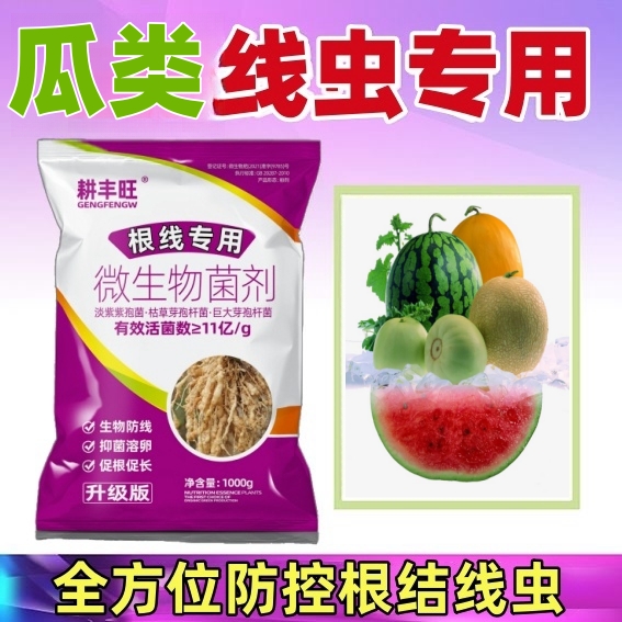 甜瓜根结线虫专用淡紫紫孢菌