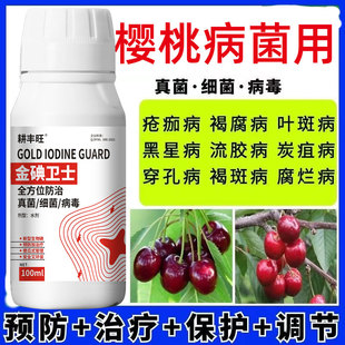 樱桃专用药樱桃病全治微生物杀菌预防治疗增产穿孔叶斑疮痂流胶病