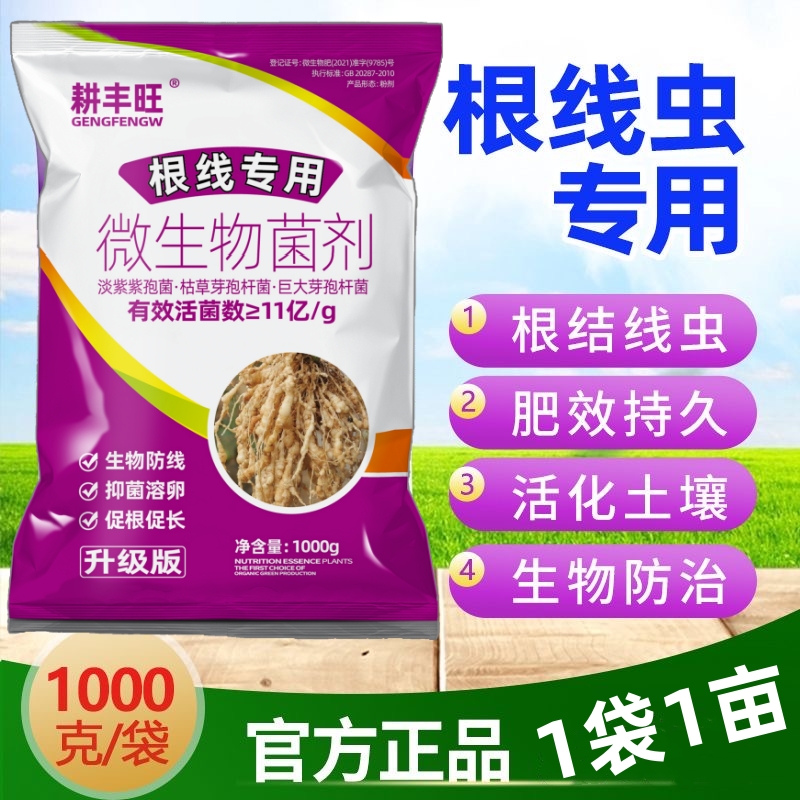 根结线虫专用淡紫紫孢菌枯草