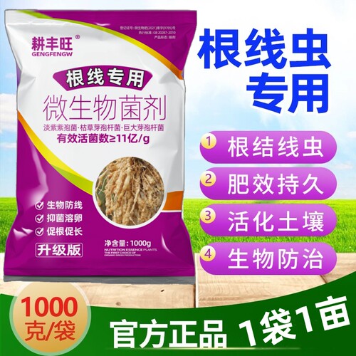 根结线虫专用淡紫紫孢菌枯草