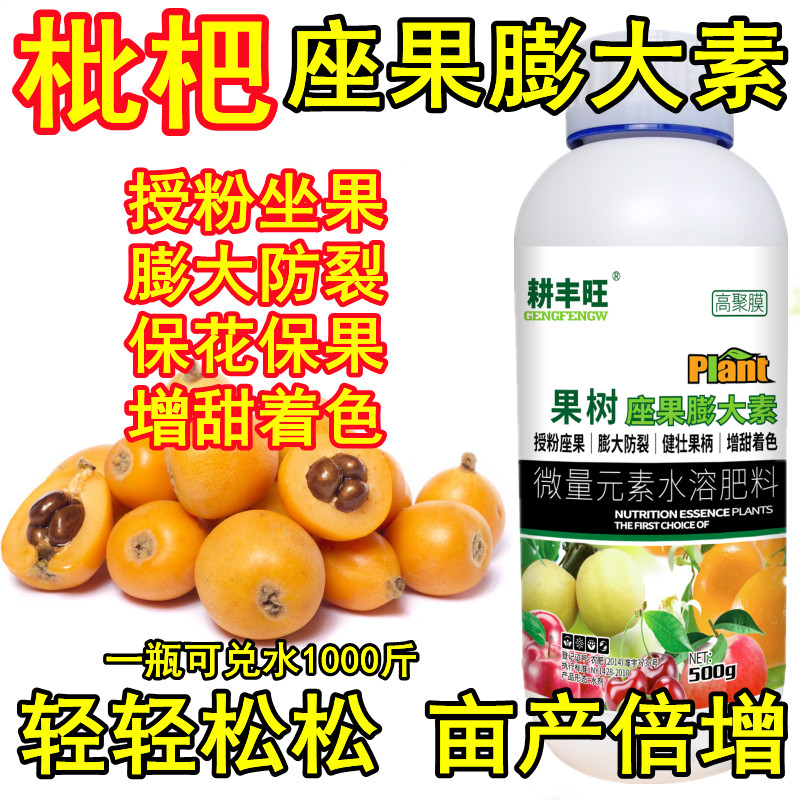 枇杷膨大坐果药强效授粉膨大防裂防落素枇杷增甜剂枇杷授粉座果精