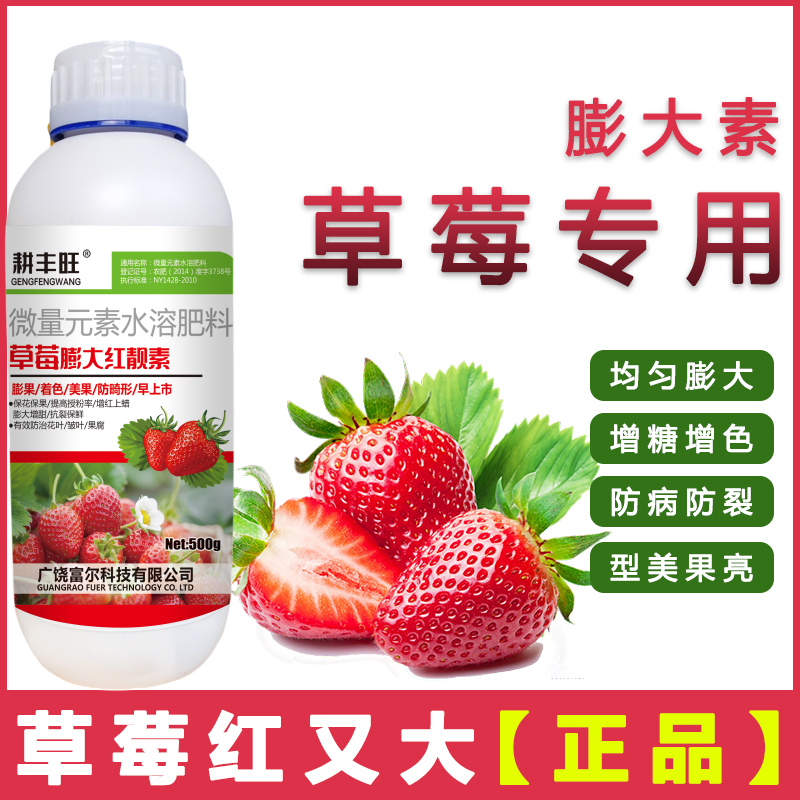 草莓拉长膨大素草莓靓果耕丰旺