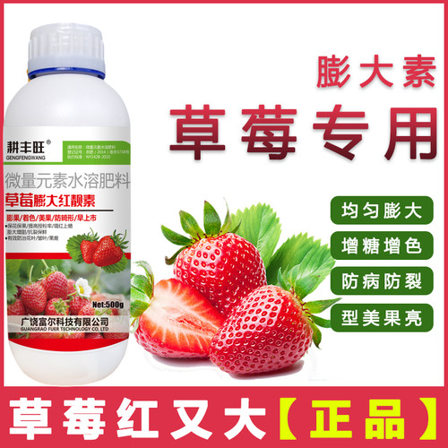 草莓拉长膨大素草莓靓果耕丰旺