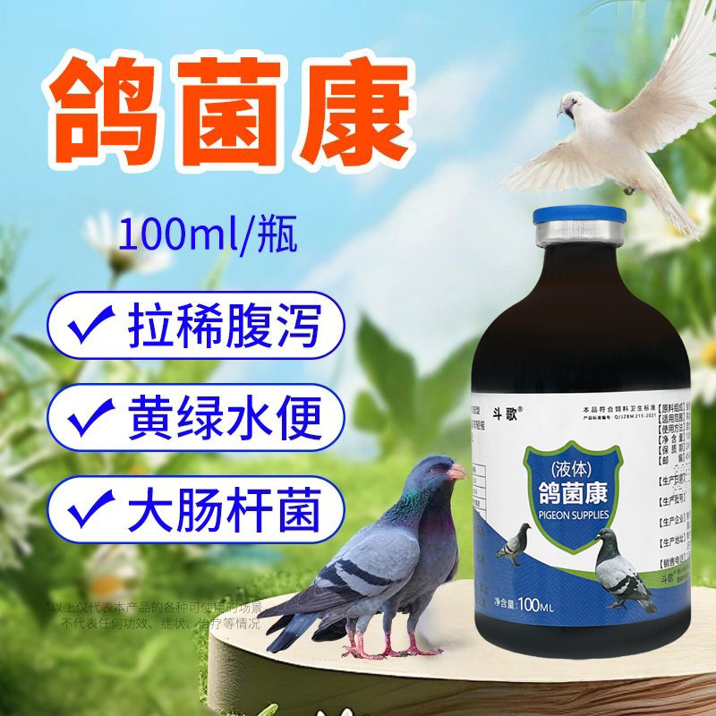 鸽子鸽菌康新城疫感冒流感呼吸道甩头歪颈绿粪炸毛呕吐清热解毒