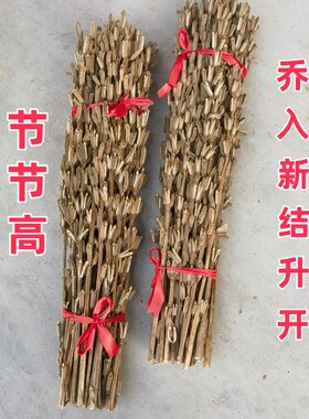 黑芝麻杆整颗河南特产芝麻杆子优质中药材家用黑芝麻梗结婚装饰