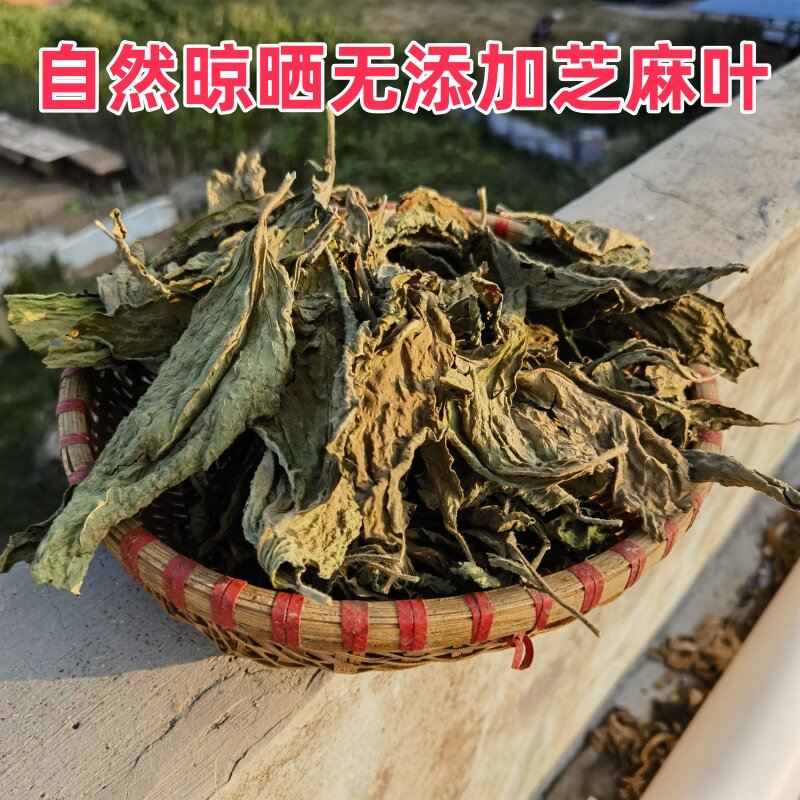 太阳晒干的芝麻叶农家自产自销2叶菜类
