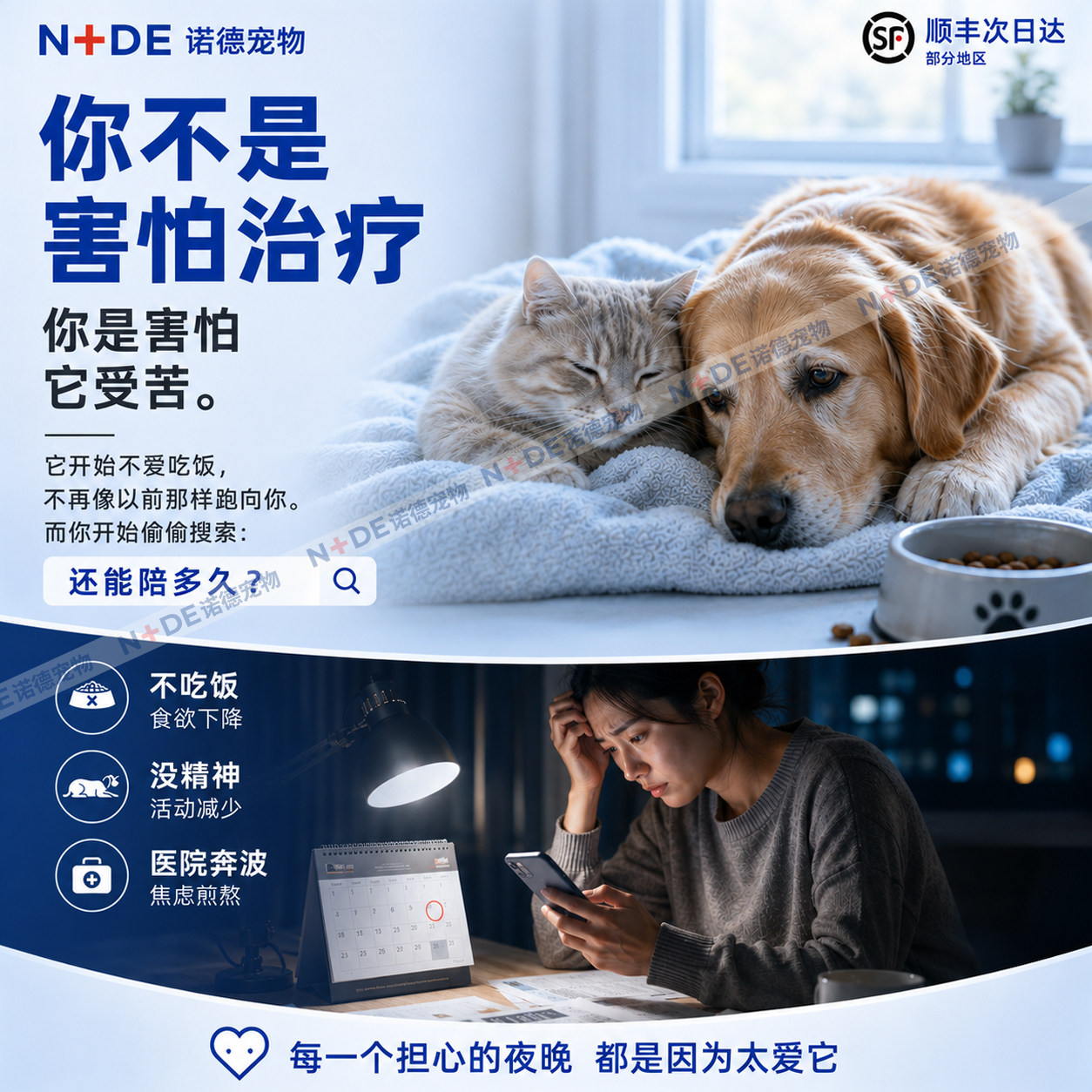 原版现货宠物犬猫肥大细胞抑制 - 实物图