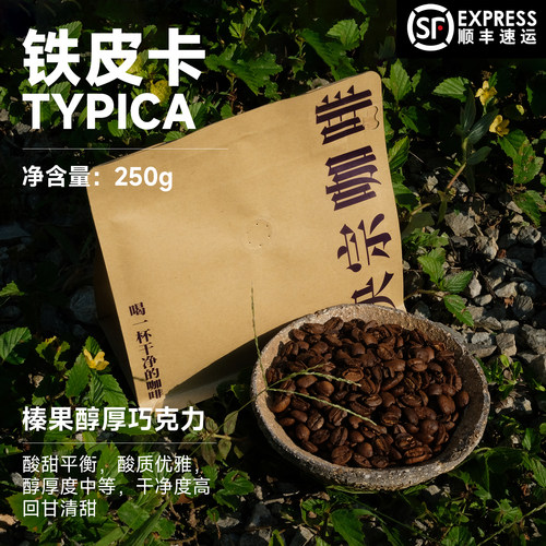 高海拔铁皮卡咖啡豆250g央宗农场