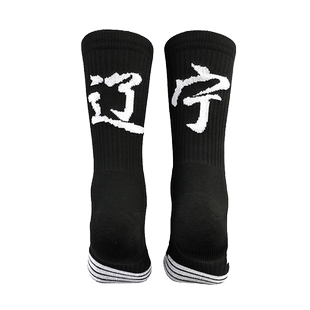 正豹省份文字篮球袜子男女成人中高筒比赛训练专业训练比赛运动袜