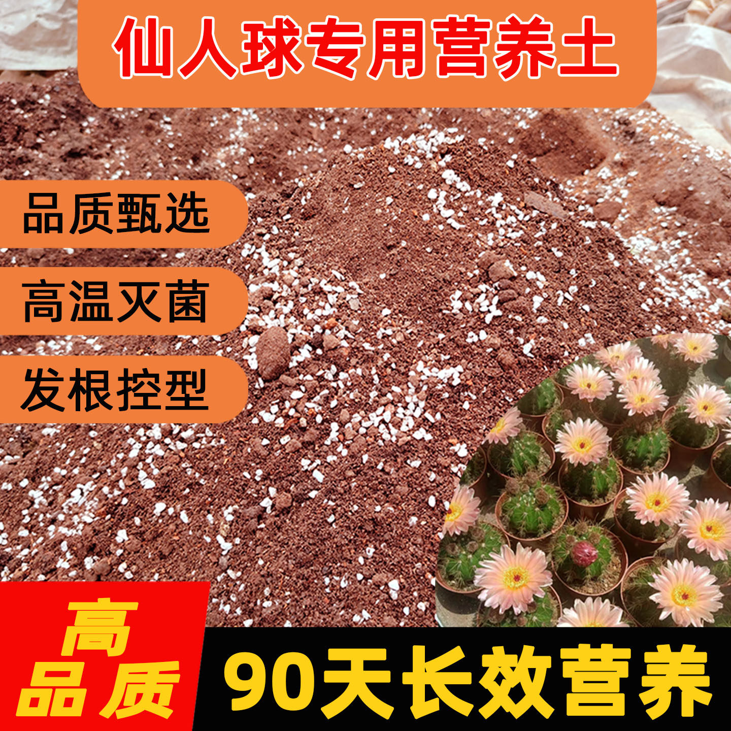 营养土500克微景观多肉植物专业花卉基质种植土独仙人球沙生植物 - 实物图