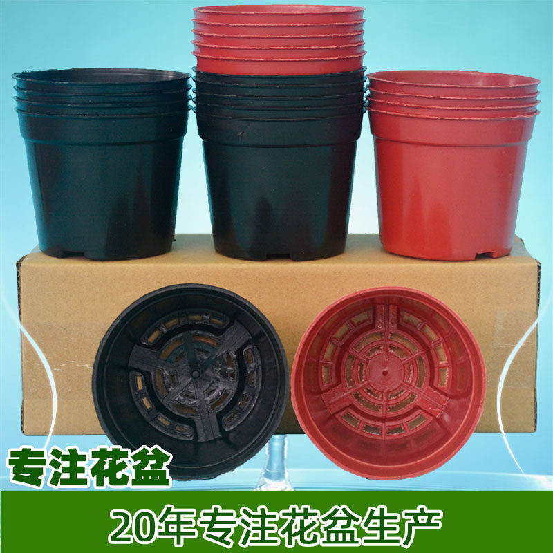 五个装B型营养杯育苗杯塑料花盆瓶钵园艺盆栽绿植多肉草花果药苗,鲜花速递/花卉仿真/绿植园艺,花盆,淘宝优惠券,粉丝福利购,淘宝优惠卷
