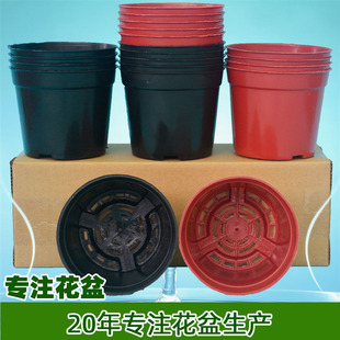 五个装 B型营养杯育苗杯塑料花盆瓶钵园艺盆栽绿植多肉草花果药苗