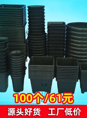 多个万象景天盆塑料育苗花盆圆方型加厚黑色迷你小多肉仙人球盆