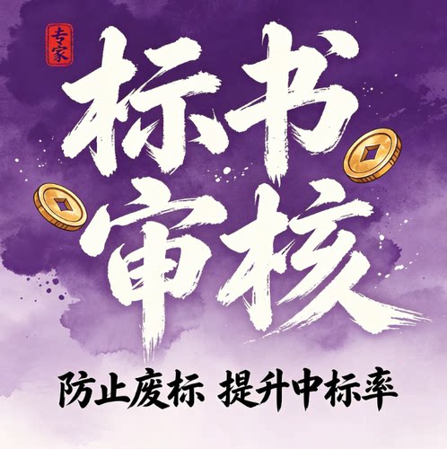 标书检查暗标核查标书审查投标文件废标项检查审核专家审标复核