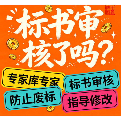 标书检查暗标核查标书审查投标文件废标项检查审核专家审标cq