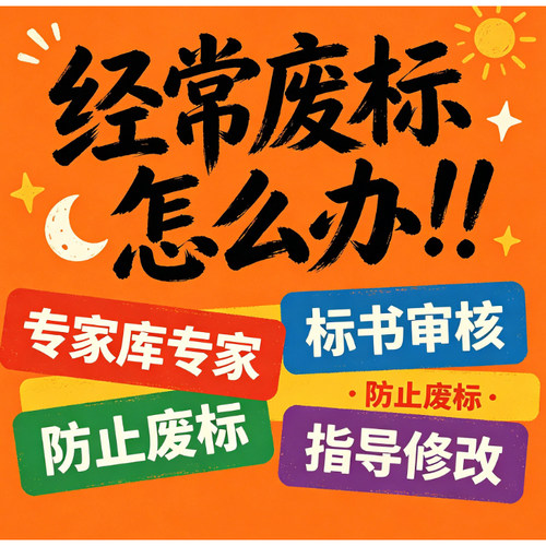 标书审核审查标书检查投标文件检查核查投标书专家审标废标项查验