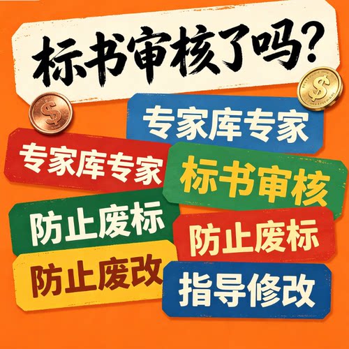 专家审标标书检查暗标核查标书审查投标文件废标项检查审核可加急