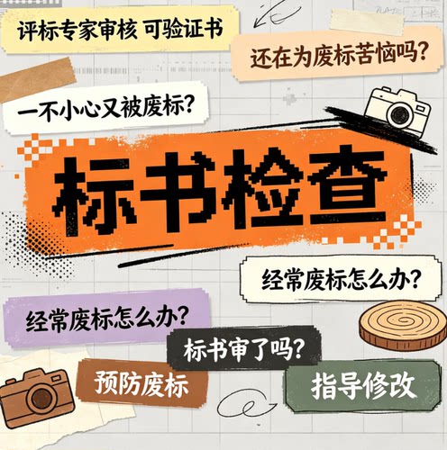 标书检查暗标核查标书审查投标文件废标项检查审核专家审标at