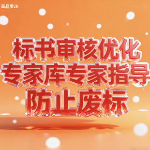标书检查专家指导提分防止废标投标书审核优化复核预审检查代写