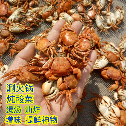 500g小螃蟹干货水产乌拉火锅底料干螃蟹炖酸菜配料干虾蟹小海蟹干