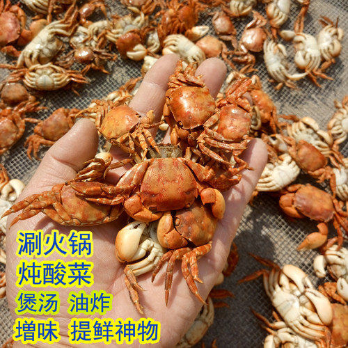 500克小螃蟹干货做锅底油炸辣炒