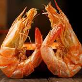 北戴河风味烤虾干即食大号对干虾干货零食海鲜碳烤海虾干