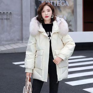 免洗面料加厚大毛領(lǐng)短款 2023年新款 女羽絨棉服外套