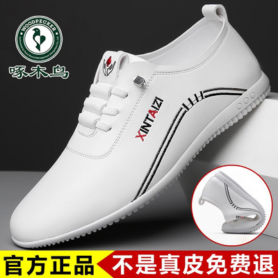 啄木鸟男鞋新款真皮透气休闲皮鞋男一脚蹬软底软面男款百搭小白鞋