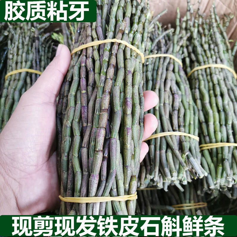 【现剪现发】五年露天生长铁皮石斛鲜条胶质浓郁榨汁煲汤鲜新石斛