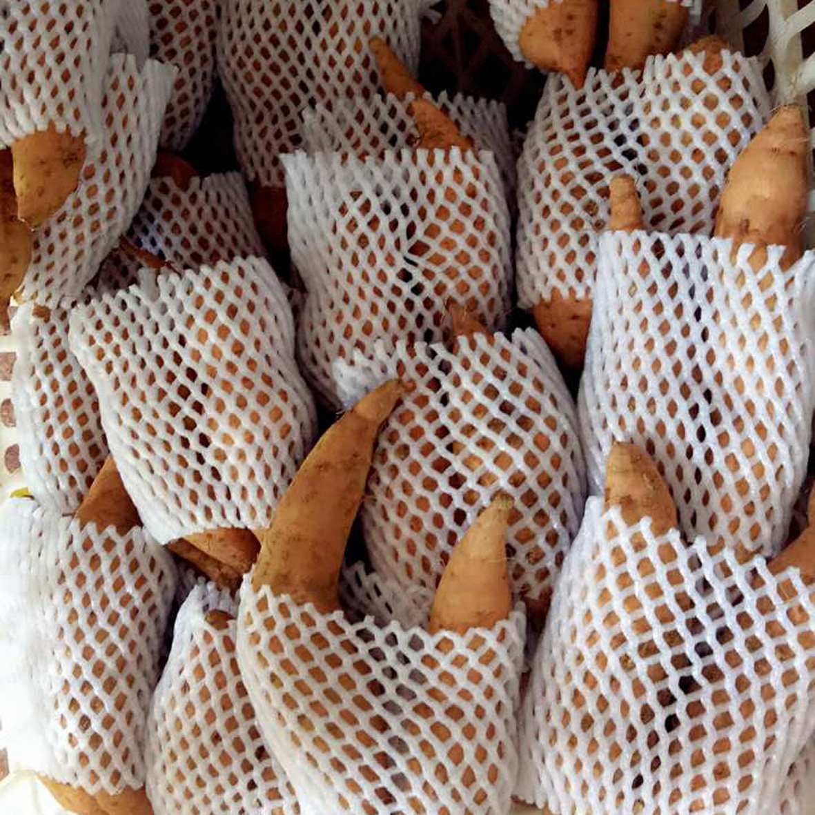 贵州紫云红薯新鲜地瓜糖心山芋番薯蜜薯精品礼盒10斤推荐送礼