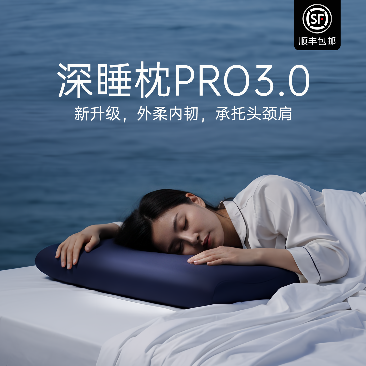 记忆棉枕头套装成人女枕芯pro3.0护颈椎助睡眠单人一只装睡觉专用