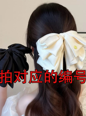 （2件装 拍主播给的编号）时尚马尾抓夹气质百搭头饰发夹