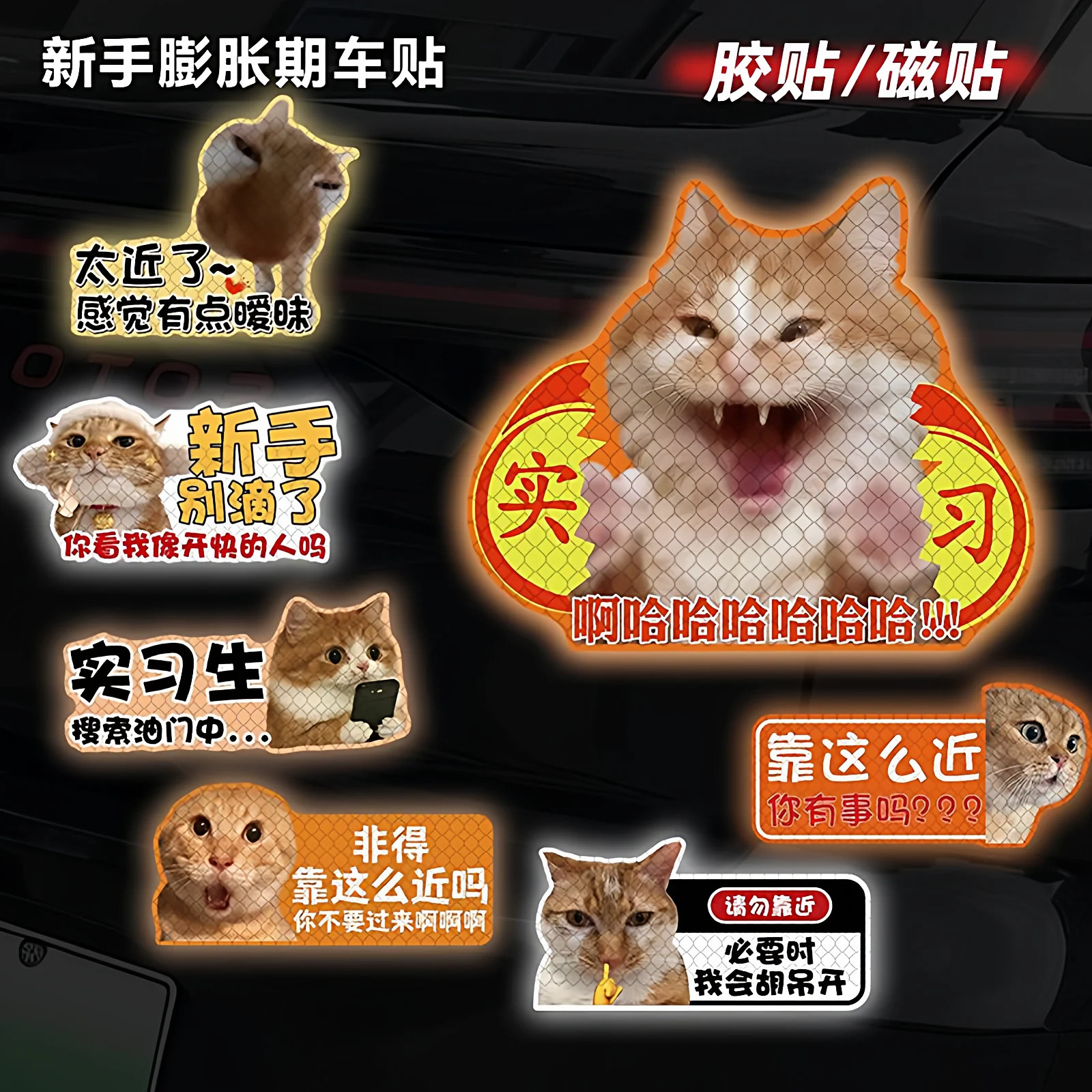 猫meme新手膨胀期车贴新手上路车贴纸女司机实习期爱耄耋猫咪装饰