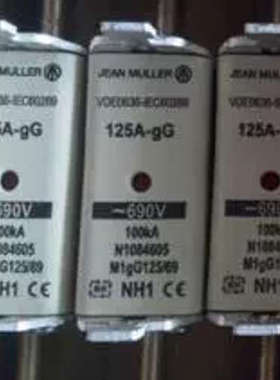Jeanmueller熔断器NH1 125A 100KA M1gG125/69 N1084605