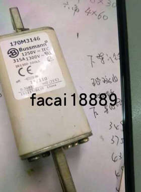 BUSSMANN熔断器170M3146/3145/3147/3148/3195/3196/3197/3198