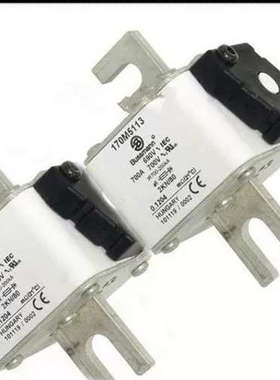 Bussmann熔断器170M5108/5109/5110/5111/5112/5113/5114/5115