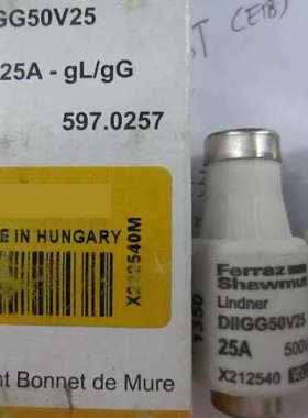 FERRAZ SHAWMUT熔断器DIIGG50V25 gL/gG X212540