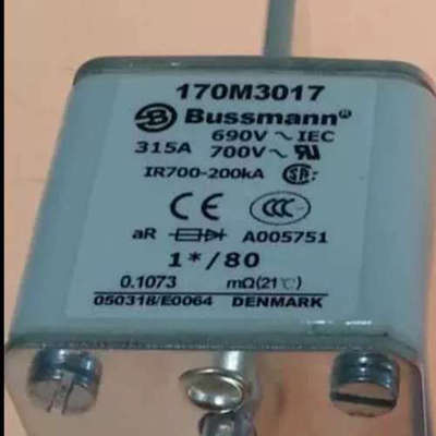 BUSSMANN熔断器170M5158/5159/5160/5161/5162/5163/5164/5165