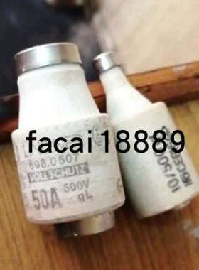 Lindner熔断器DIII-35A DIII-50A(598.0507) 500V gL/gG