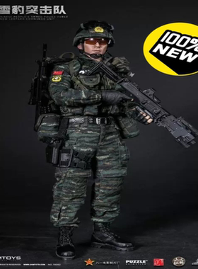 DAMTOYS DAM 78052 1/6 中国人民警察 部队 雪豹突击队 ，全新未