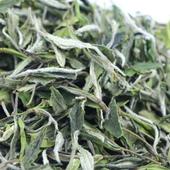 品茗桂香 高山白茶福鼎大白茶白牡丹2024新茶明前茶叶散茶1000克