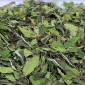 品茗桂香 高山白茶福鼎大白茶春茶陈年寿眉2022贡眉散装 1000克