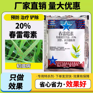 农用农药20%春雷霉素水分散粒剂水稻稻瘟病农药杀菌剂正品保证