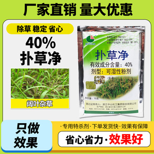 40%扑草净大豆棉花水稻秧田花生甘蔗苎麻苗圃阔叶杂草苗前 除草剂