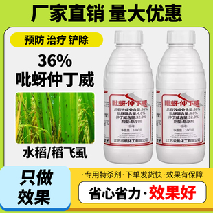 农药杀虫剂36%吡蚜酮仲丁威水稻稻飞虱触杀胃毒内吸农药正品保障