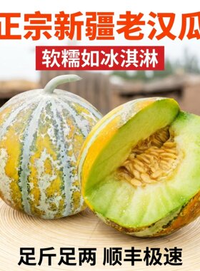 正宗新疆老汉瓜航空超甜老品种