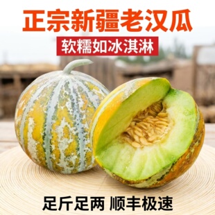 正宗新疆老汉瓜老品种巴登超甜汁水多软糯香甜冰淇淋口感航空直发